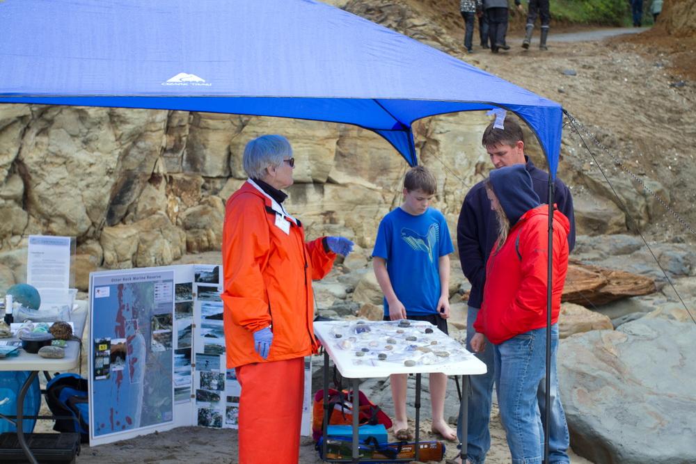 Activist Spotlight Karen Driscoll with the Depoe Bay, Oregon BWTF Surfrider Foundation