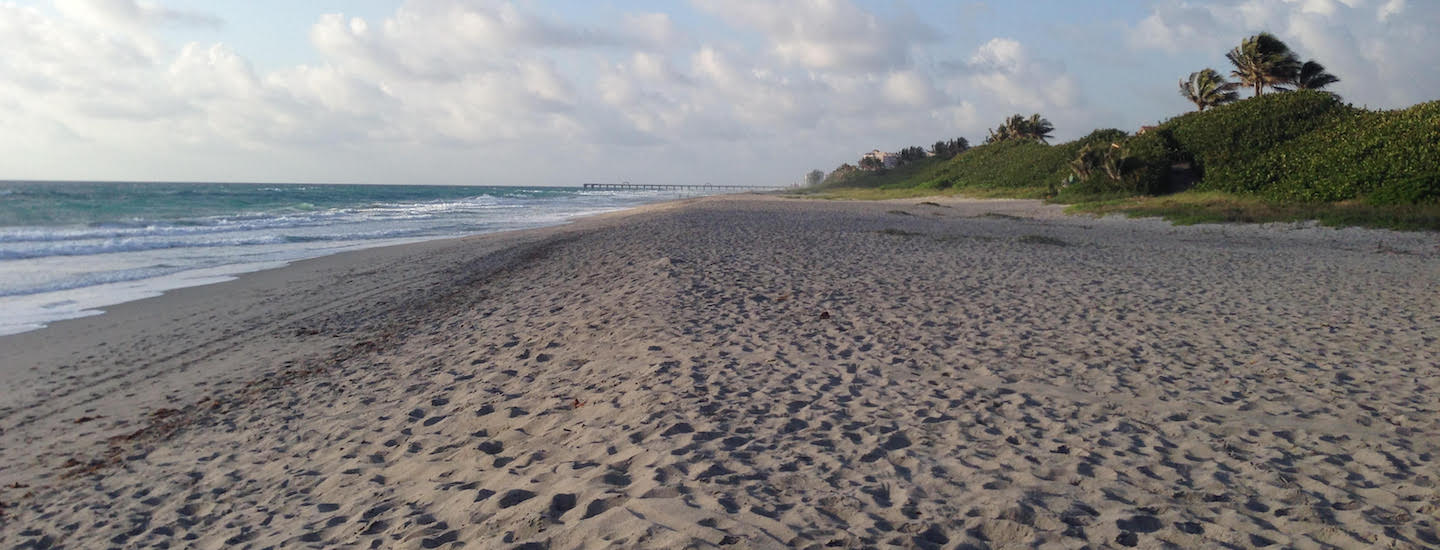 Palm Beach County Beach Cleanups Palm Beach County Beach Cleanups