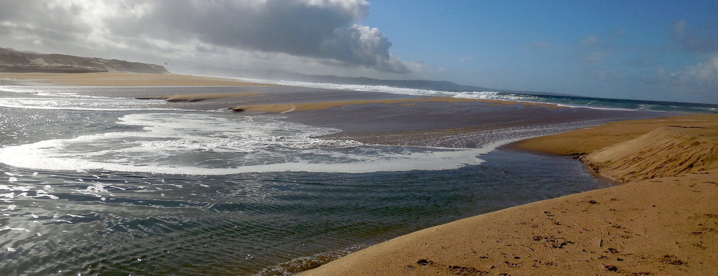 Stop CEMEX Sand Mining - Surfrider Foundation